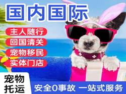 阿克苏红旗坡航空快运国际宠物托运 【国